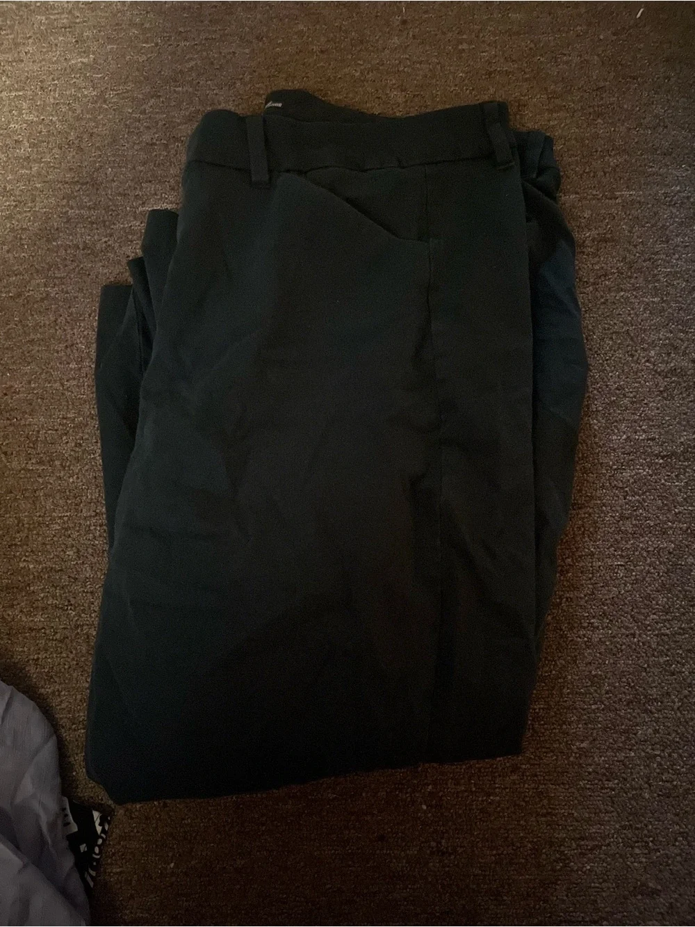Women’s dress pants